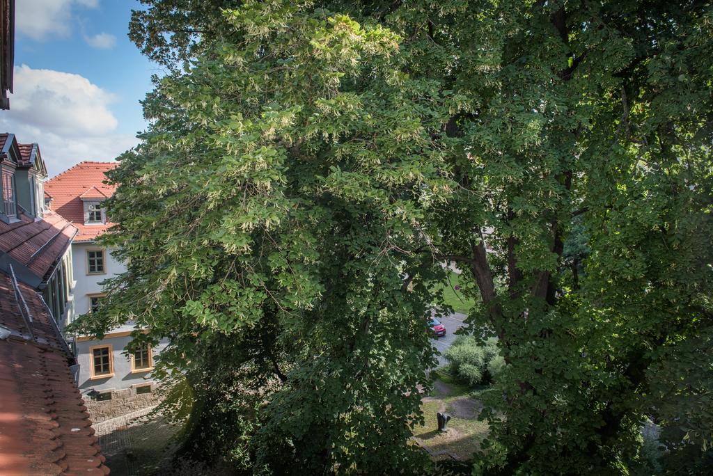 "Goethezimmer" Ferienwohnung Und Zimmer Am Burgplatz Ваймар Екстериор снимка
